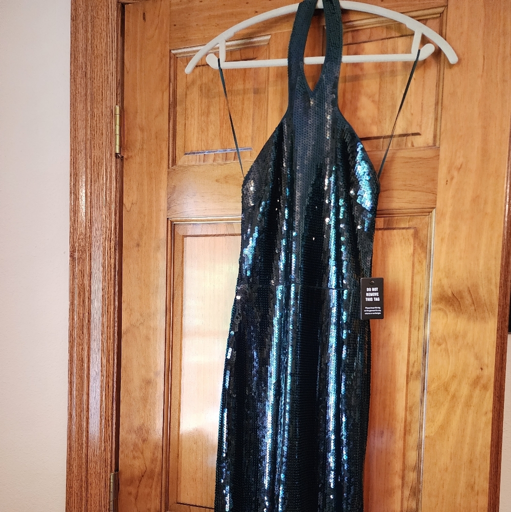 NWT Express Green Sequin Dress